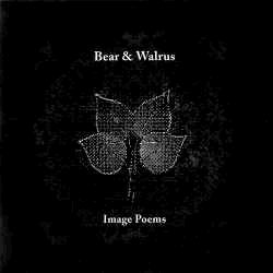 Bear & Walrus’ Image Poems is the spiritual follow-up to their debut album Lake Poems… again written and recorded in just 28 days, again inspired by writings about nature. The sound ranges from chiptune pop songs mixed with baroque orchestrations (“Epigram,” “A Year Passes”) to more free jazz inspired improv experiments (the incredible nine-minute “Two Impressions”).